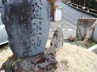 画像に含まれている可能性があるもの:植物、屋外